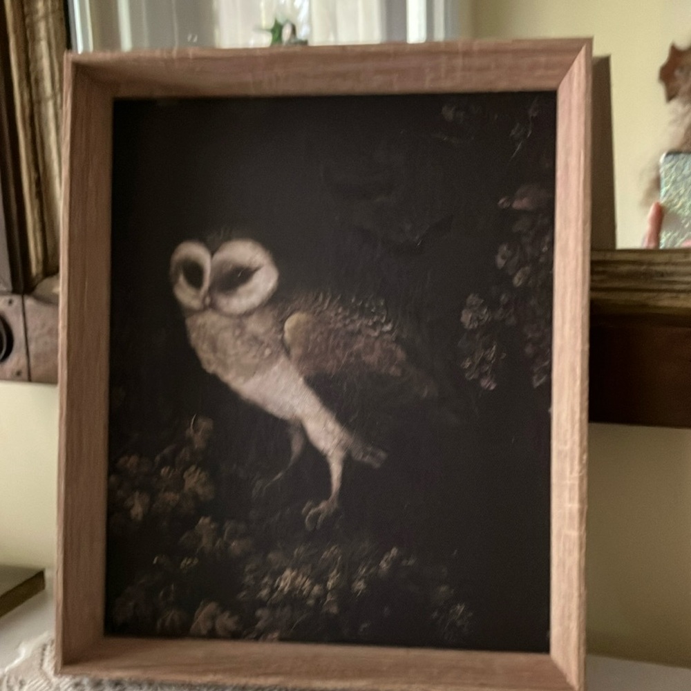 NEW - Mystical Owl Framed Art - Picture 3 of 7